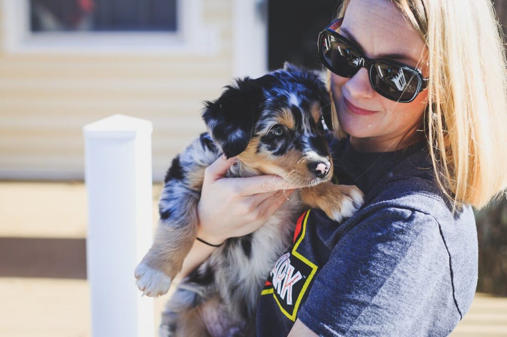 Australian shepherd puppy held by a woman